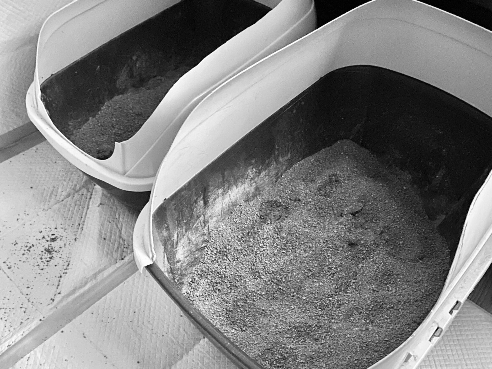 Two litter boxes placed side by side, each with litter and paw prints on the surface