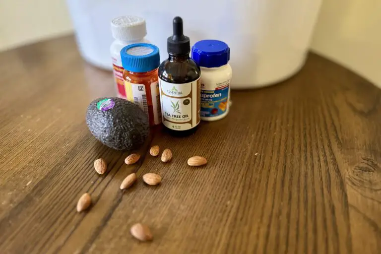 Sampling of household items that are toxic to cats - pain killers, avocado, tea tree oil