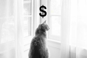 black and white image of grey tabby cat sitting and looking out window with sun drenched sheer curtains and superimposed dollar sign above head