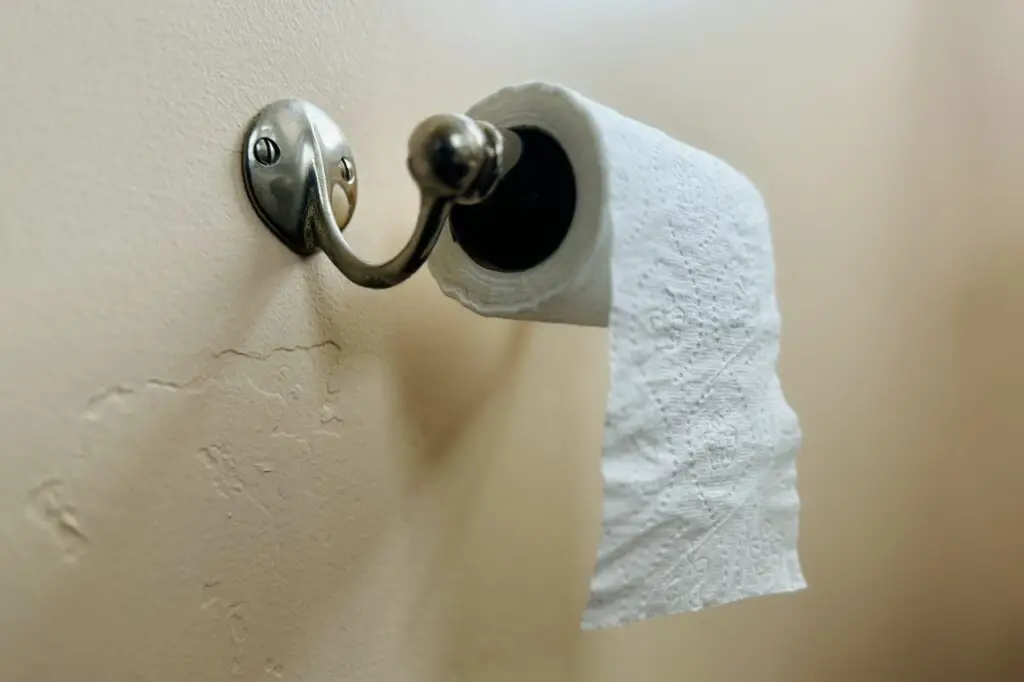 Close up of wall-mounted brass toilet paper holder, with roll of paper